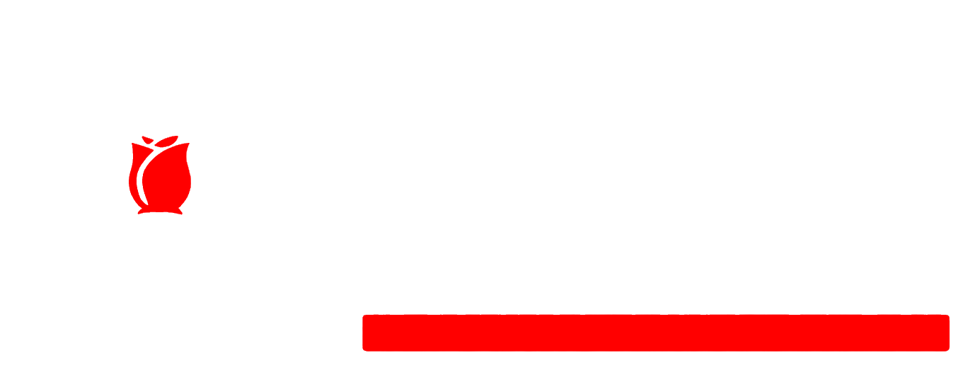 CLARA BAGS 